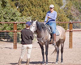 Horse trainer at Clinic