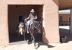Greg Russell, horse trainer at Clinic