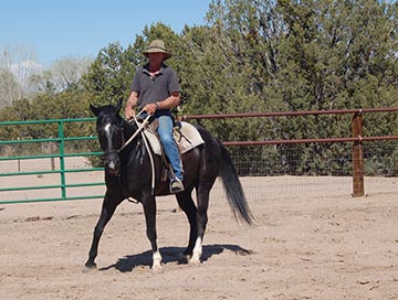 Ginger Gaffney, horse trainer at Clinic