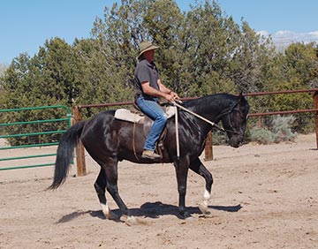 Ginger Gaffney, horse trainer at Clinic